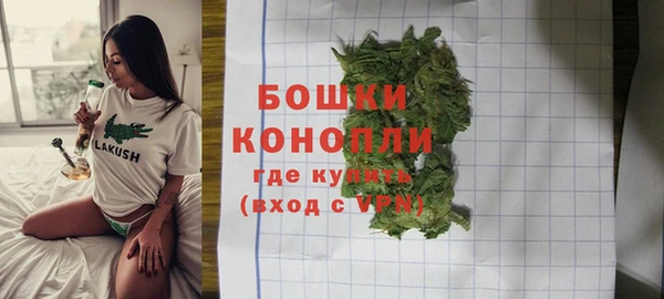 МДПВ Волоколамск
