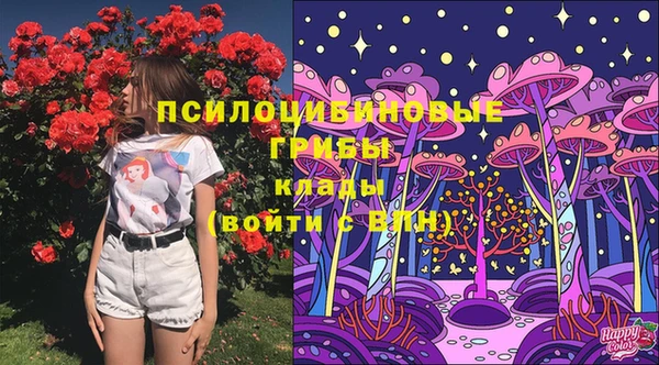 гидропоника Володарск