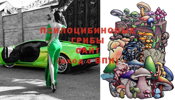 МДПВ Волоколамск