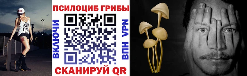 наркота  Прокопьевск  Галлюциногенные грибы Psilocybine cubensis 