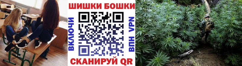 Канабис сатива  как найти закладки  Прокопьевск 
